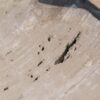 Salontafel versteend hout 56162