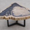 Salontafel versteend hout 56162