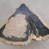 Salontafel versteend hout 56163