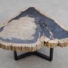 Salontafel versteend hout 56163