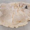 Salontafel versteend hout 56167