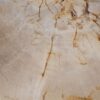 Salontafel versteend hout 56167