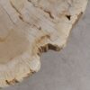 Salontafel versteend hout 56167