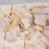 Salontafel versteend hout 56167