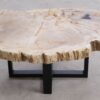 Salontafel versteend hout 56167