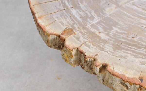 Salontafel versteend hout 56192