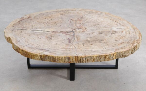 Salontafel versteend hout 56195a