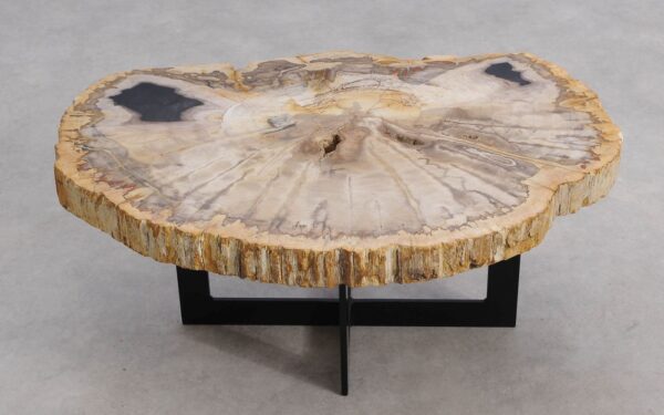 Salontafel versteend hout 56199