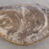 Salontafel versteend hout 56212