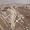 Salontafel versteend hout 56212