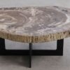 Salontafel versteend hout 56212