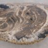 Salontafel versteend hout 56217