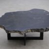 Salontafel versteend hout 56223