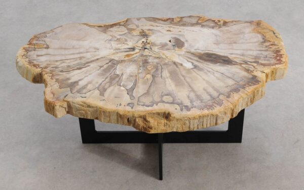 Salontafel versteend hout 56280