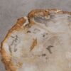 Salontafel versteend hout 57229