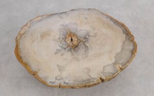 Salontafel versteend hout 57245