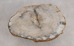 Salontafel versteend hout 57249
