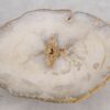 Salontafel versteend hout 57250