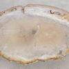 Salontafel versteend hout 57252