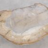 Salontafel versteend hout 57256