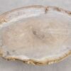 Salontafel versteend hout 57261