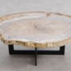 Salontafel versteend hout 57261
