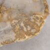 Salontafel versteend hout 57263
