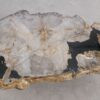 Salontafel versteend hout 57264