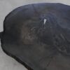 Salontafel versteend hout 57280a