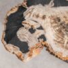 Salontafel versteend hout 58254