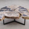 Salontafel versteend hout 58254