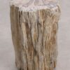 Side table petrified wood 55001