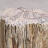 Side table petrified wood 55001