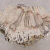 Side table petrified wood 55001