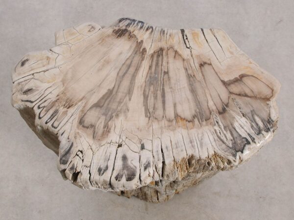 Side table petrified wood 55001