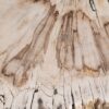 Side table petrified wood 55001