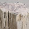 Side table petrified wood 55001