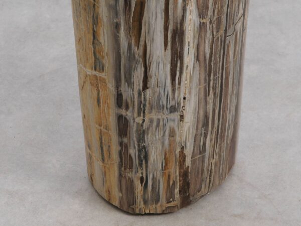 Side table petrified wood 56000