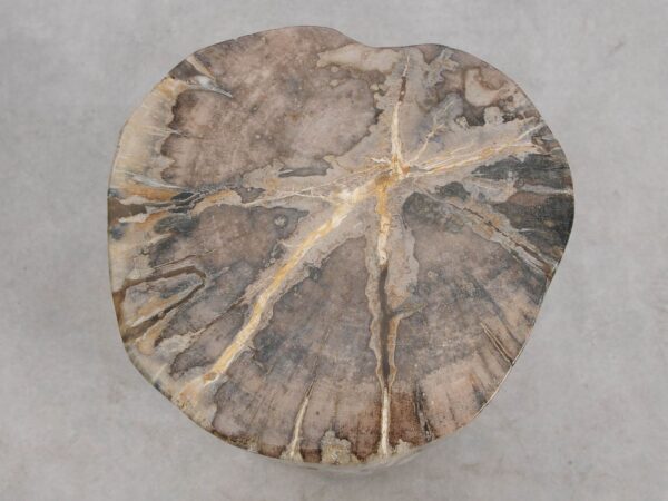 Side table petrified wood 56000