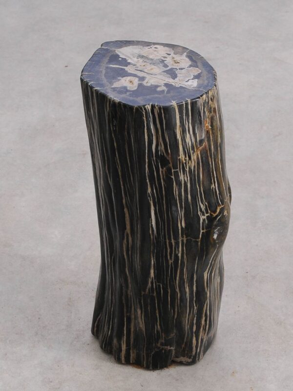 Side table petrified wood 56257