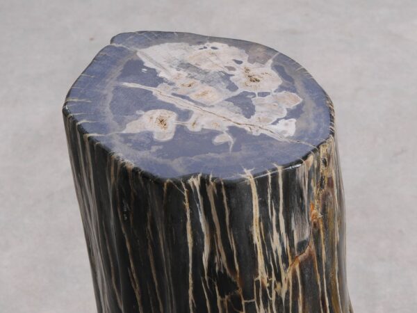 Side table petrified wood 56257