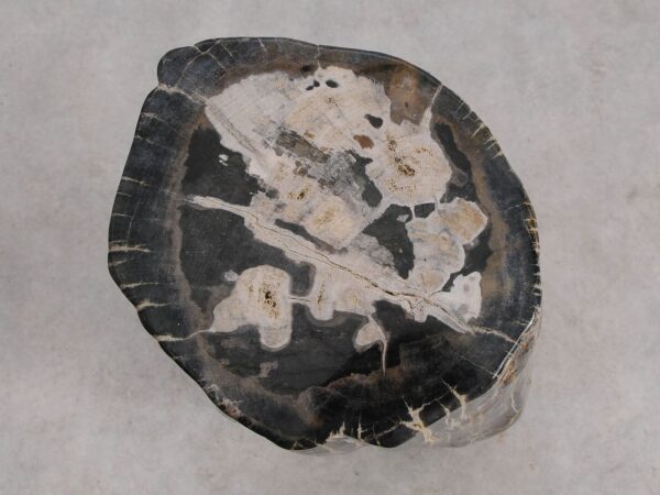 Side table petrified wood 56257