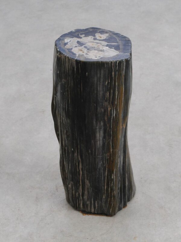 Side table petrified wood 56257