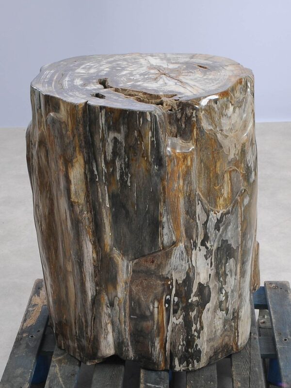 Side table petrified wood 57000