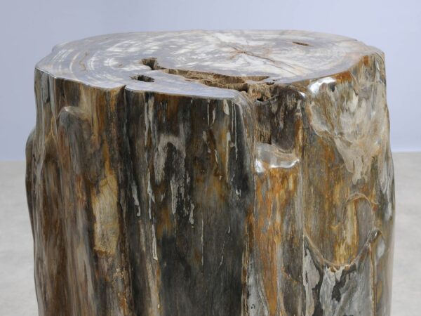 Side table petrified wood 57000