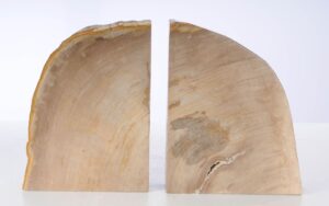 Sujetalibros madera petrificada 53364
