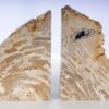 Sujetalibros madera petrificada 53368