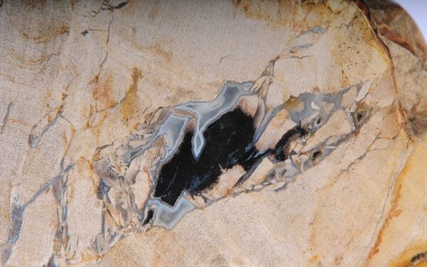 Sujetalibros madera petrificada 53368