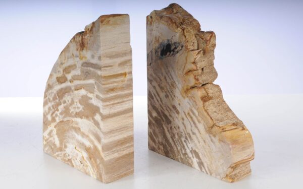 Sujetalibros madera petrificada 53368
