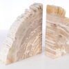 Sujetalibros madera petrificada 53371